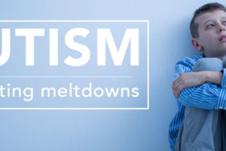 راهنمای تصویری پرواز برای مسافران اوتیسم